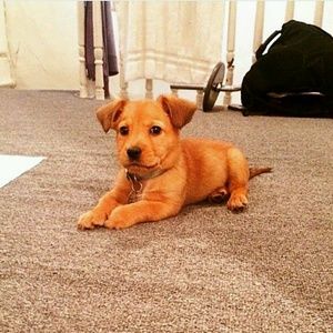 Meet your Posher, Maria